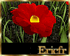 [Efr] Garden Flowers 5