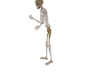 Hugs Skeleton