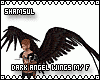 Dark Angel Wings M/F