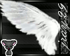 <J> Angel Wings V2 <J>