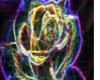 neon Rose Dance Marker