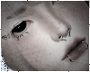 ☆n. bites