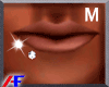 AF. Double Dia Labret R