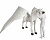 DW® Unicorn Pegasus