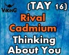 Rival-Thinking About You