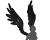 ᨳWings Black!