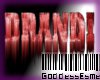 !GE Brandi Name Sticker