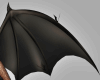 Nocturnal Wings