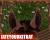Electra Ears V4