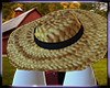 Remington Hat V.2