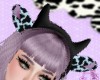 moo~