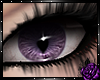 Zera purple 