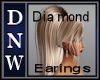 DNW Diamond Earrings