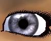 realistic greyblue eyes