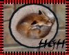 Sleeping Fox Rug