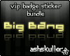 [AS]BigBang Badge Bundle