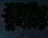 (R)Night leafy tree