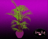 Plant (1)