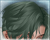 Hair Beetle