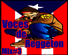 Voces de Reggeton Mix #3