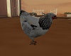 [MS] Chicken