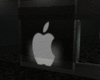{a7} Apple Glass Window