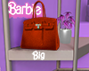 BIG Red BirkinBag