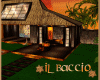 IL BACCIO