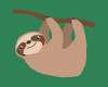 Hanging Sloth Sticker