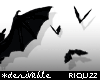 DRV Vampire Bats ~ F/M