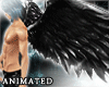 ! Dark Feather Wings II