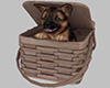 Puppy In A Basket