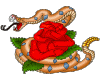 Rose with Snake