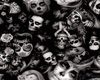 Alone 2-Skulls-
