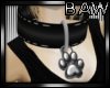 B! Silver Paw Collar
