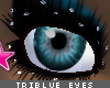[V4NY] TriBlue Eyes
