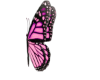 PW/Butterfly Cutout