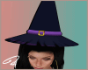 Witch Hair  halloween