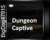[BD]DungeonCaptive