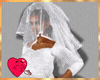 Delicate Face Veil