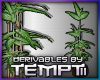 Derivable Bamboo Plant