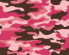HS/ Conjunto Tropa Rosa