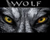 Wolf 25K