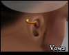 V| Gold Earring|R