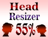 Head Scaler Resizer 55%