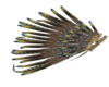 Dayak Hand Feather
