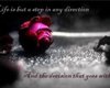 Roses&Words