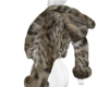 Luxe Fur V2 1/3