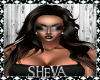 Sheva*Black Brown 7