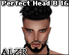 Perfect Head B16